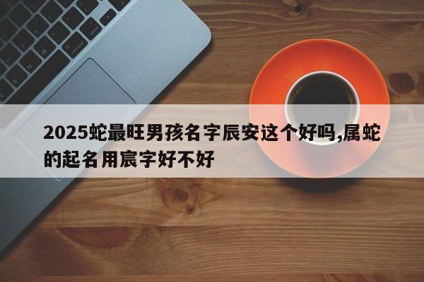 2025蛇最旺男孩名字辰安这个好吗,属蛇的起名用宸字好不好