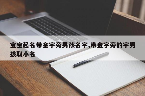 宝宝起名带金字旁男孩名字,带金字旁的字男孩取小名