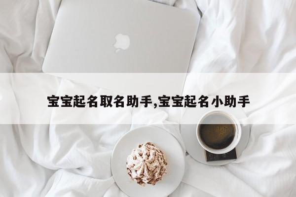 宝宝起名取名助手,宝宝起名小助手