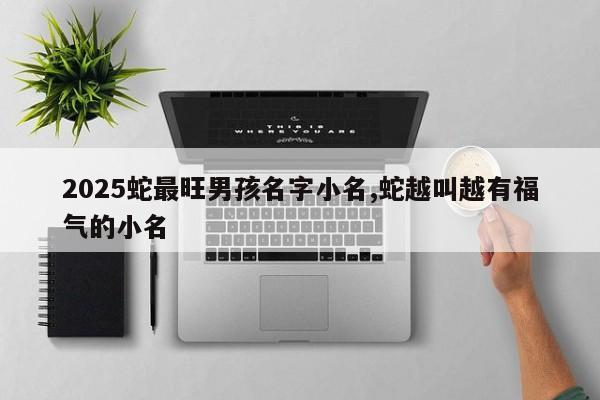2025蛇最旺男孩名字小名,蛇越叫越有福气的小名